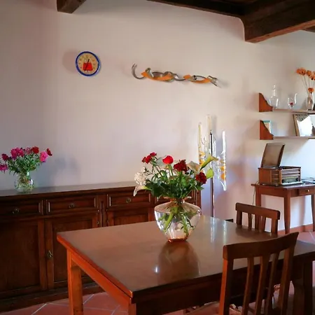 Vulandra: Tipica Casa Ferrarese A 50 Mt Dal Duomo Lägenhet