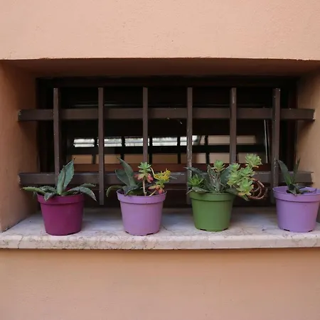 Vulandra: Tipica Casa Ferrarese A 50 Mt Dal Duomo * Ferrara